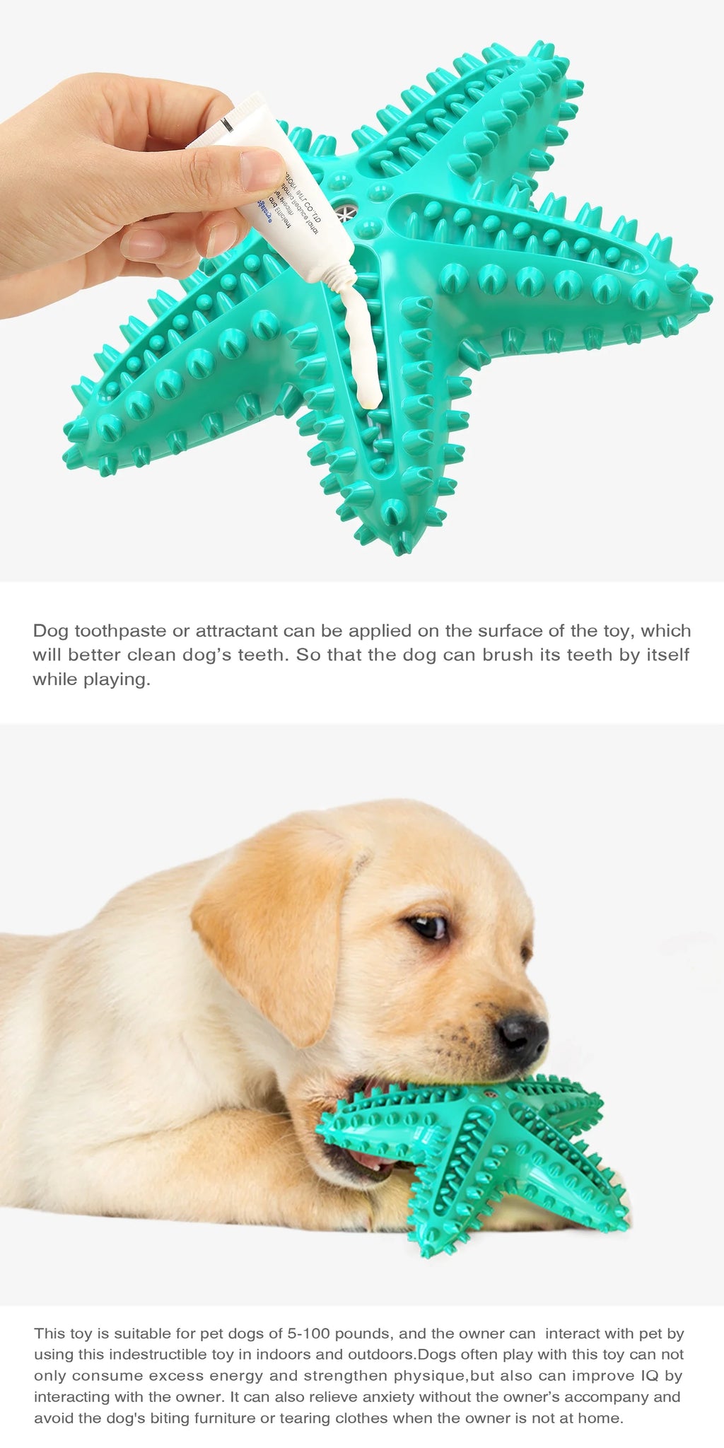 Dog Toys For Large Dogs Tooth Cleaning Chew Funny Interactive Training Starfish Toy Accessories Squeaky Toys TPR Toys Beagle