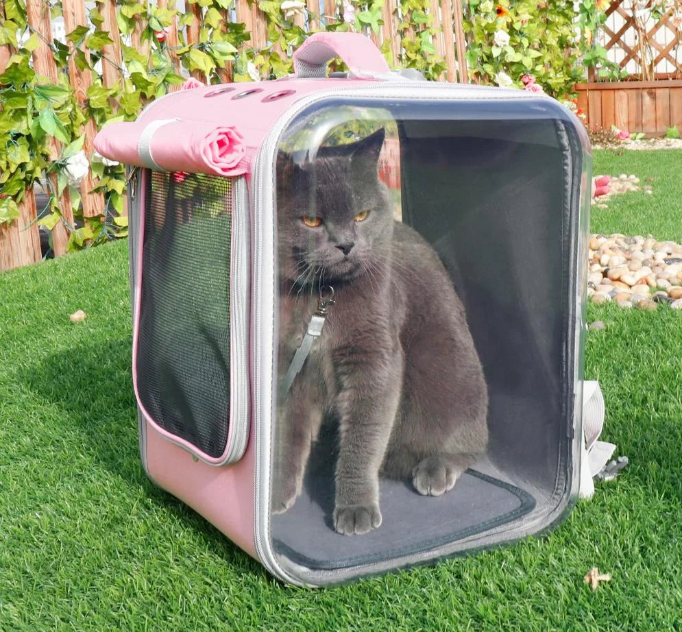 Pet Carrier  Backpack  Bag  Dog Outdoor Travel Bag