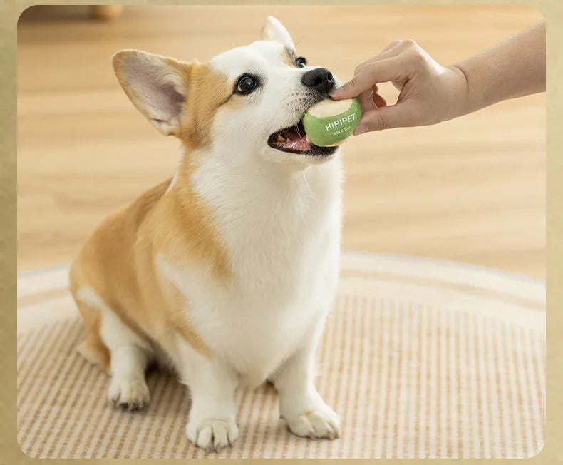 Dog Tennis Sports Soundpaper Racquet Toy Teddy Teeth Grinding Companion Pet Supplies Dog Toys for Small Dogs Puppy Accessories