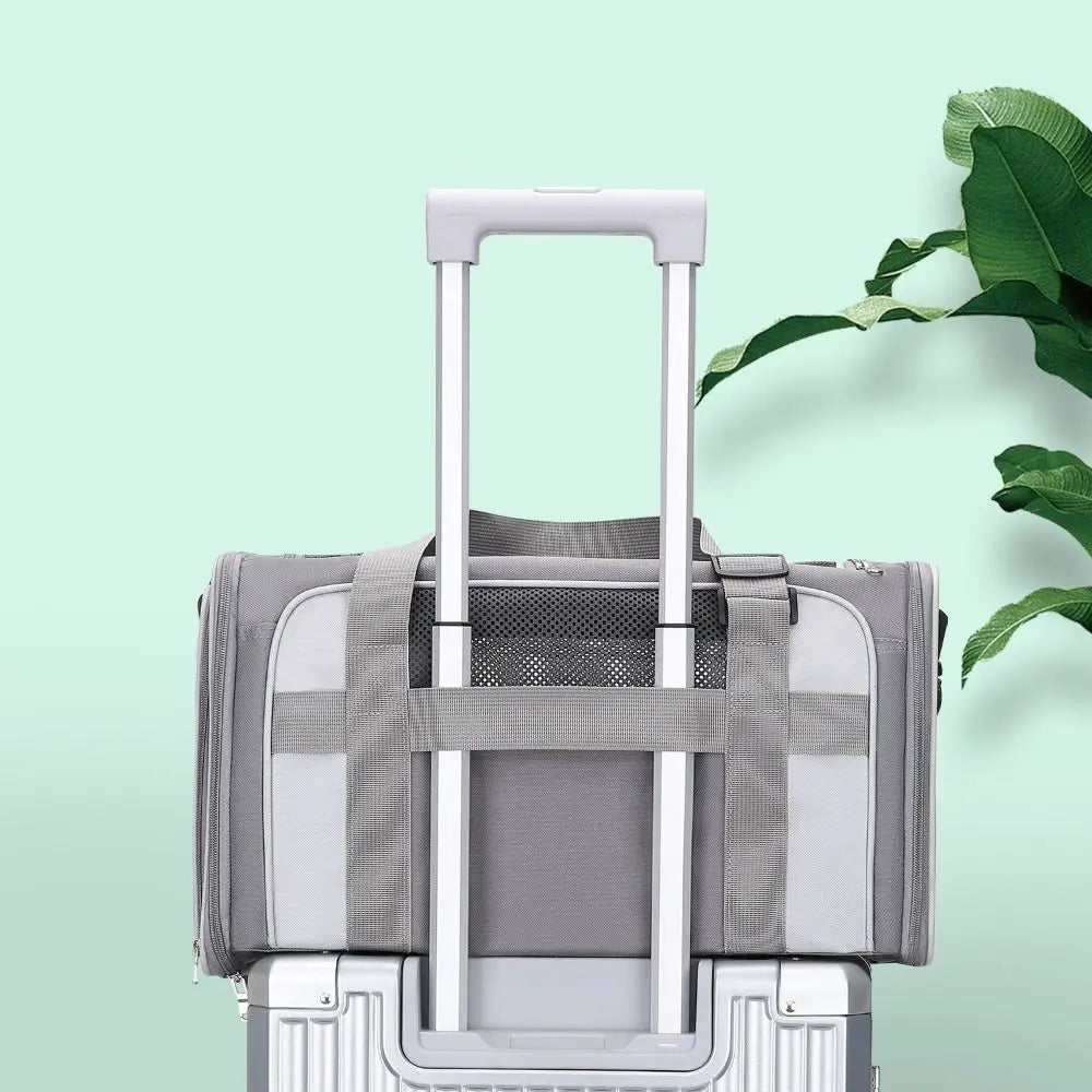 Dogs Outdoor Carrier Large Capacity Pet Carrying Bag Breathable Foldable Pet Carrier Bag Side Ventilated Pet Shoulder Bag Hiking