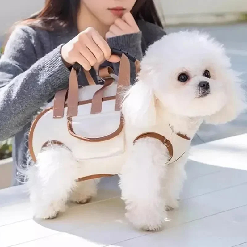 Pets Outdoor Carrying Bag Small Dogs and Medium-sized Cats with Harnesses Clip Adjustable Shoulder Handheld for Hiking Daily Use